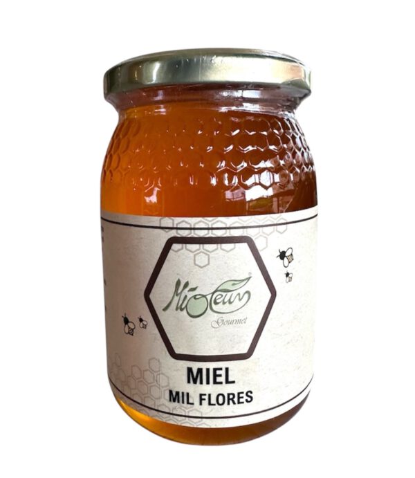 Miel de Mil Flores Mióleum 500 gr